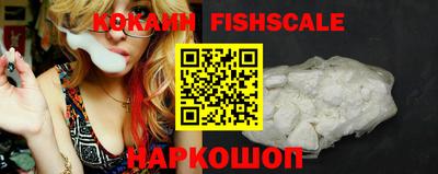 спиды Камышлов