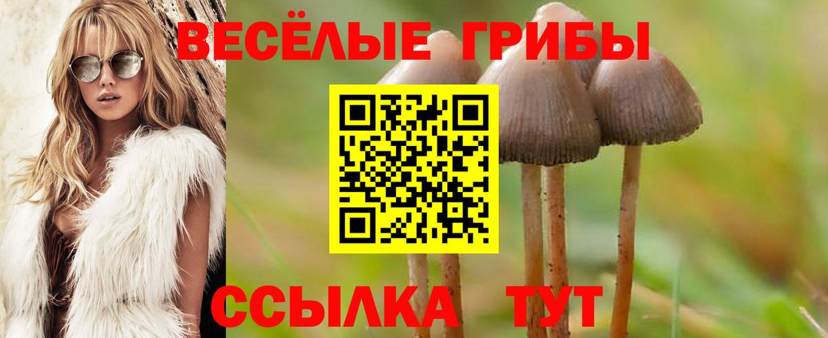 Псилоцибиновые грибы прущие грибы  Вход с VPN  Саяногорск 