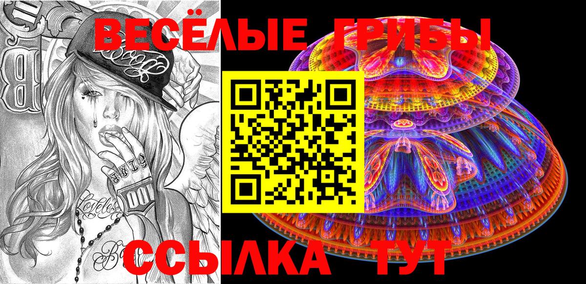Псилоцибиновые грибы Psilocybine cubensis Саяногорск